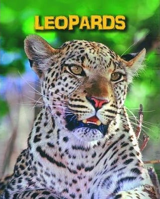 Leopards - Living in the Wild: Big Cats