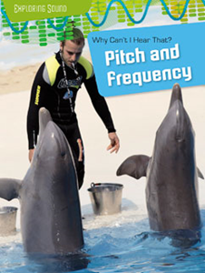 Why Can't I Hear That?: Pitch and Frequency (Paperback)
