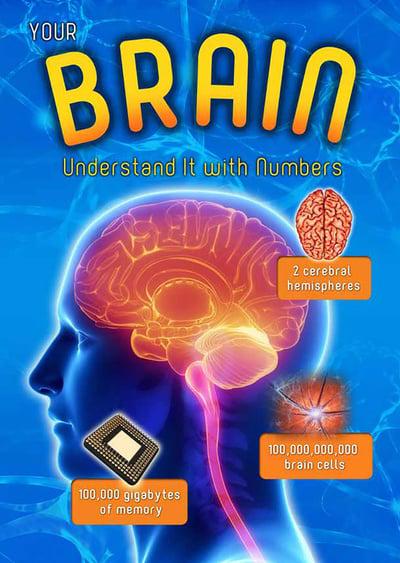 Your Brain : Understand it with Numbers