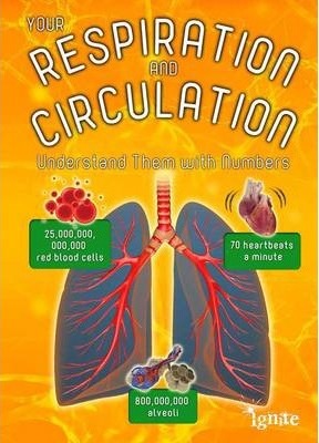 Your Respiration and Circulation: Understand Them With Numbers