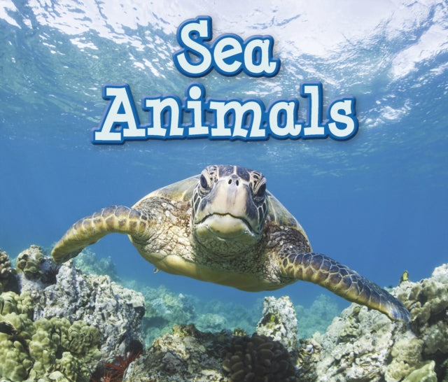 Animals and Their Habitats:Sea Animals