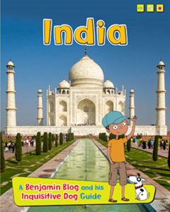 India (Paperback)