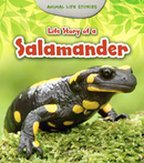 Life Story of a Salamander (Paperback)
