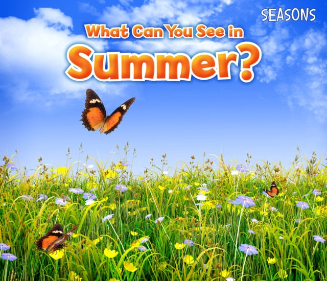 What Can You See In Summer?