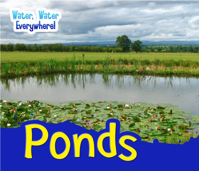 Water, Water Everywhere!: Ponds