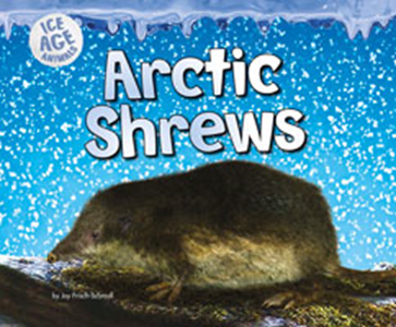 Arctic Shrews (Paperback)