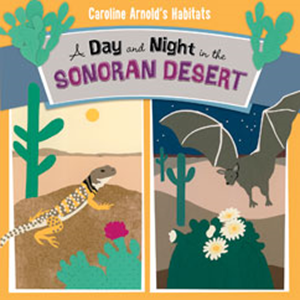 A Day and Night in the Sonoran Desert (Paperback)