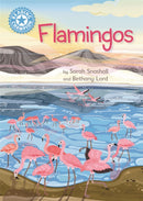Reading Champion Blue: Flamingos
