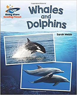 RS Galaxy White: Whales and Dolphins (L23-24)