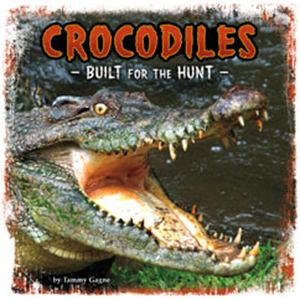 Crocodiles (Paperback)