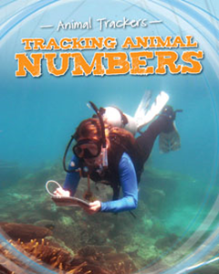 Animal Trackers:Tracking Animal Numbers(PB)