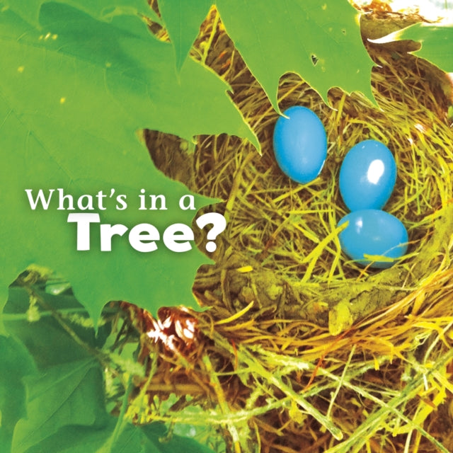 What's in a Tree?(Paperback)
