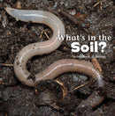 What's in the Soil?(Paperback)