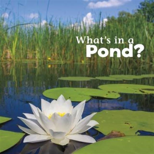 What's in the Pond?(Paperback)