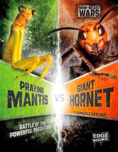 Bug Wars:Praying Mantis vs Giant Hornet(PB)