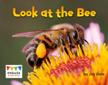 Engage Literacy L1:  Look at the Bee