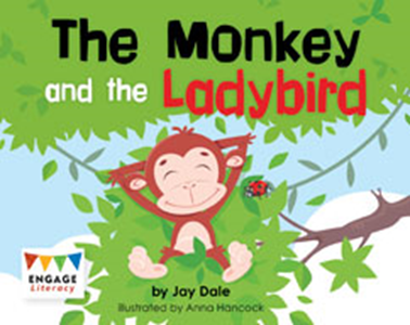 Engage Literacy L1:  The Monkey and the Ladybird