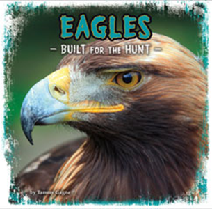 Eagles (Paperback)