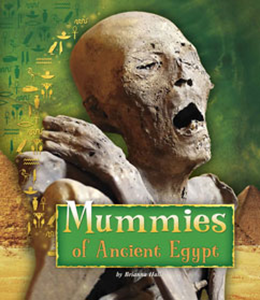 Ancient Egyptian Civilization:Mummies of Ancient Egypt(PB)