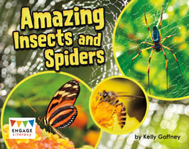 Engage Literacy L18: Amazing Insects and Spiders