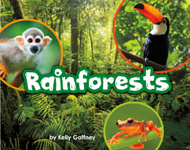 Engage Literacy L20: Rainforests