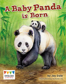 Engage Literacy L24: A Baby Panda is Born