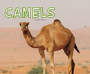 Camels (Paperback)