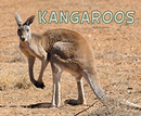 Kangaroos (Paperback)