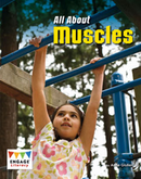 Engage Literacy L23: All About Muscles