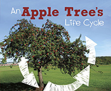 An Apple Tree's Life Cycle (Paperback)