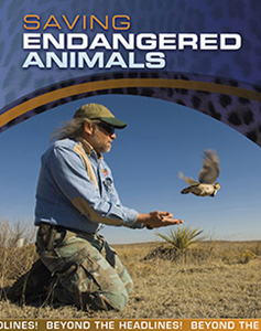 Beyond the Headlines!:Saving Endangered Animals(PB)