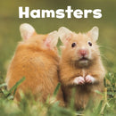 Our Pets:Hamsters (Paperback)