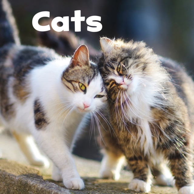 Our Pets:Cats (Paperback)