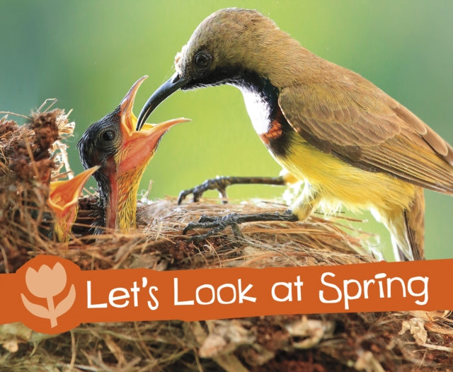 Let's Look at Spring(Paperback)