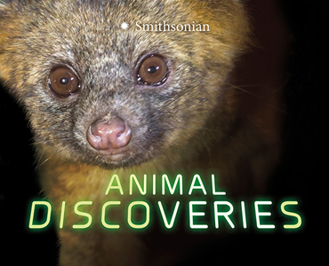 Animal Discoveries (Paperback)