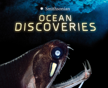 Ocean Discoveries (Paperback)