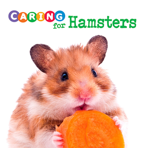 Caring for Hamsters (Paperback)