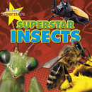 Insect Superstars (Paperback)
