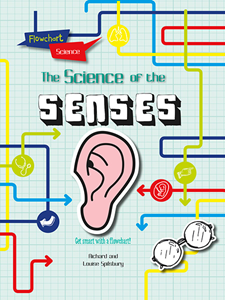 Flowchart Science: The Human Body:The Senses(PB)