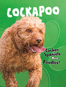 Cockapoo (Paperback)