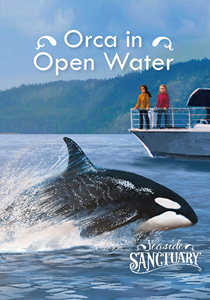 Seaside Sanctuary:Orca in Open Water(PB)