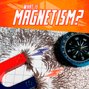 What Is Magnetism? (Paperback)