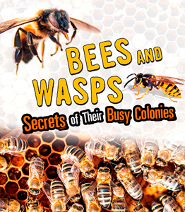 Amazing Animal Colonies:Bees and Wasps(PB)