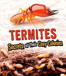 Amazing Animal Colonies:Termites(PB)
