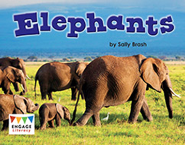 Engage Literacy L11: Elephants