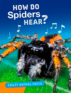 How Do Spiders Hear? (Paperback)