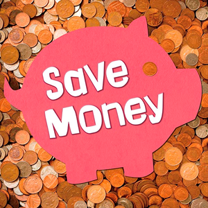 Save Money (Paperback)