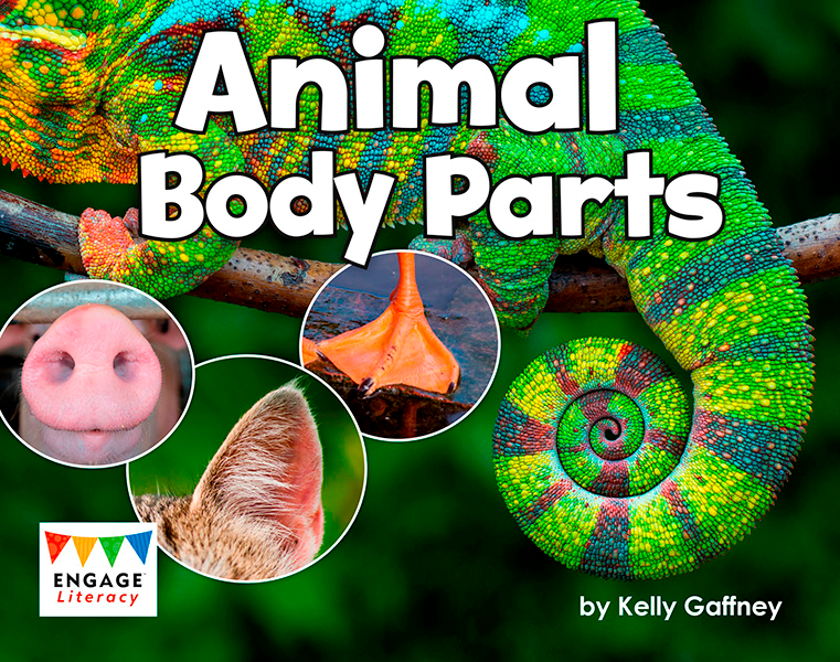 Engage Literacy L10: Animal Body Parts