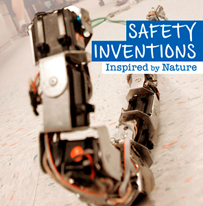 Safety Inventions Inspired by Nature (Paperback)