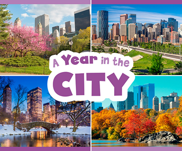 Year in the City (Paperback)